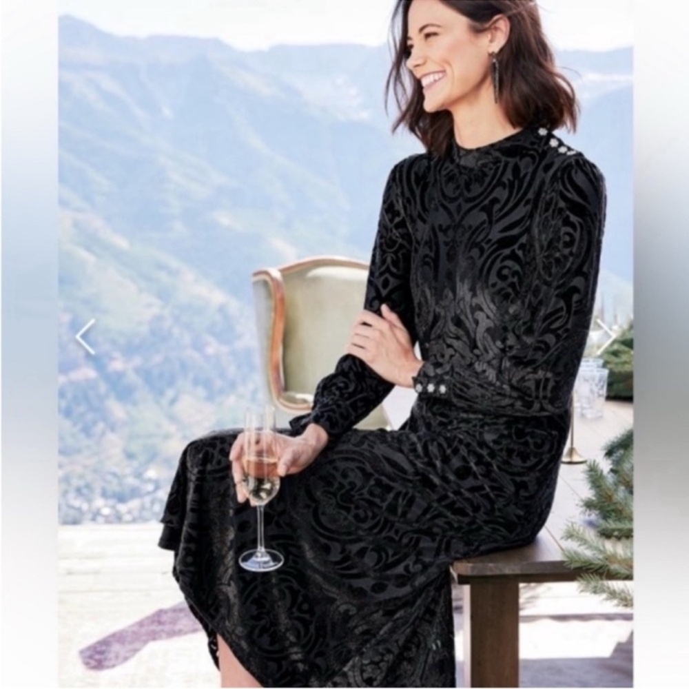 Soft Surroundings Black and Copper Gold Hadley Velvet Dress